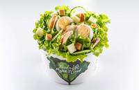Salad Box Debrecen | Caesar salad | Menu24.hu
