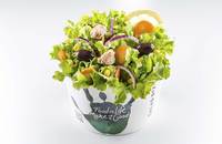 Salad Box Debrecen | Salad with 5 ingredients + tuna | Menu24.hu